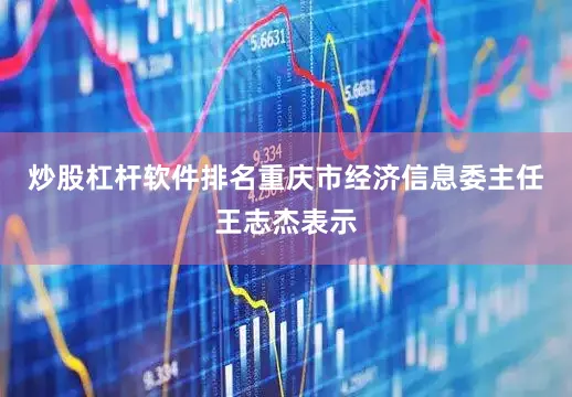 炒股杠杆软件排名重庆市经济信息委主任王志杰表示