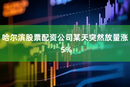 哈尔滨股票配资公司某天突然放量涨 5%